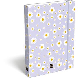 Füzetbox A/4 Cornell Daisy