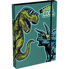 Füzetbox A/4 Dino Cool