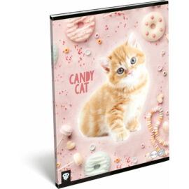 Füzet tűzött A/4 sima 80-32 Kis Bagoly Candy Cat