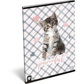 Füzet tűzött A/4 sima 80-32 FSC Kis Bagoly Purrrfect