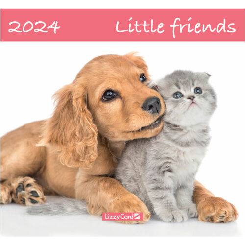 Falinaptár lemez nagy 2024 Little friends